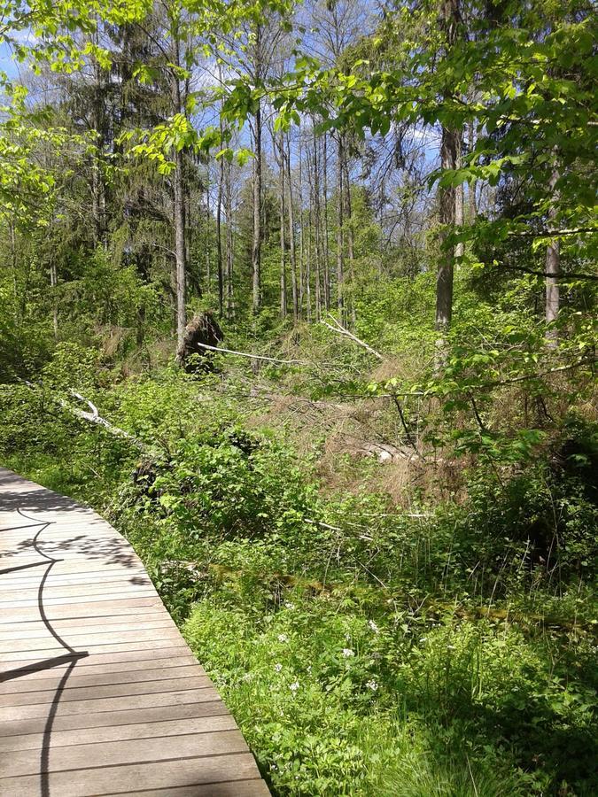 Cztery Pory Roku Vendégház Białowieża Kültér fotó