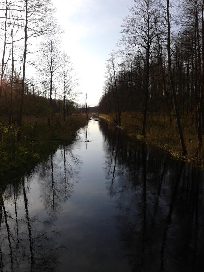 Cztery Pory Roku Vendégház Białowieża Kültér fotó